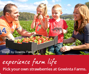 Gowinta Farms banner