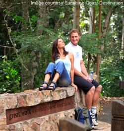 bushwalking tracks Sunshine Coast