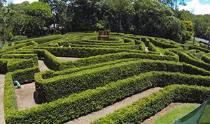 Bellingham Maze